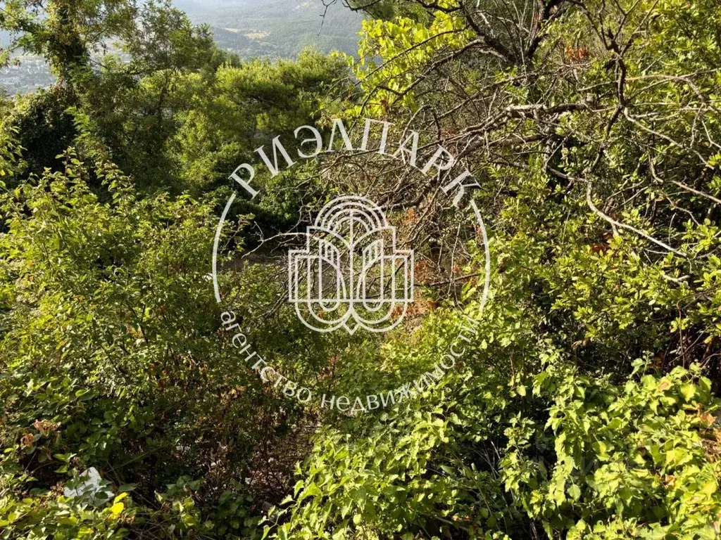 Участок в Крым, Ялта муниципальный округ, Массандра пгт ул. ... - Фото 2