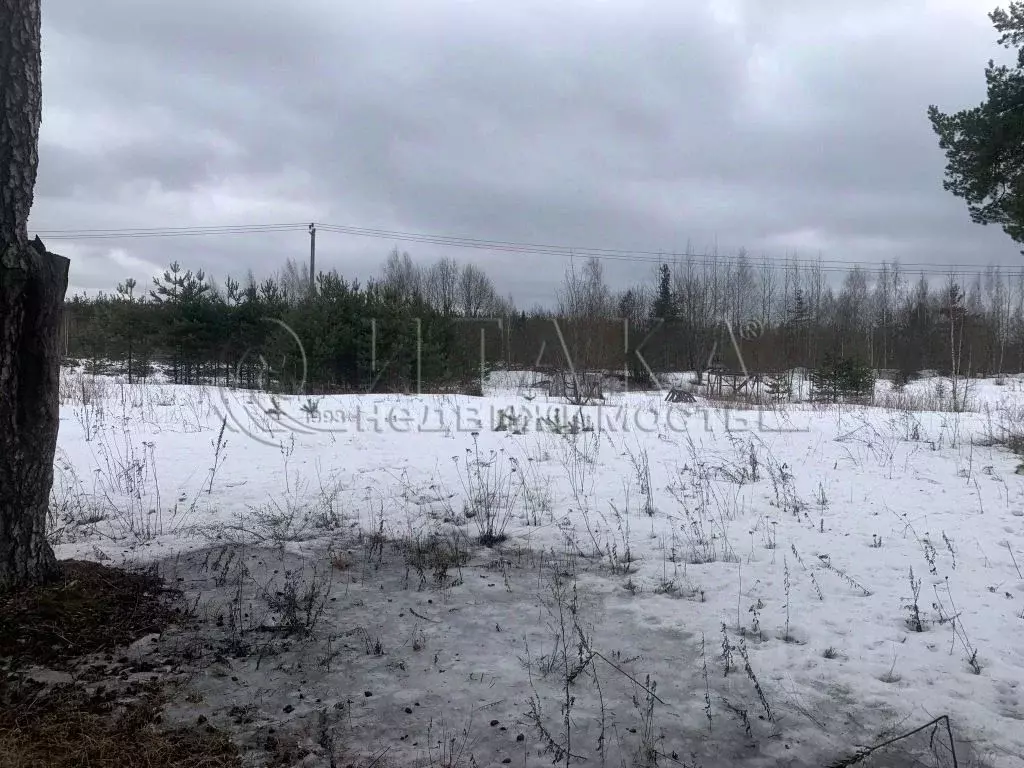 Участок в Ленинградская область, Лодейное поле тракт Республиканский, ... - Фото 2