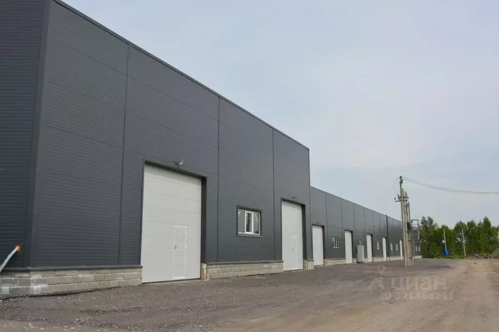 Склад в Ленинградская область, Всеволожский район, Колтушское ... - Фото 2