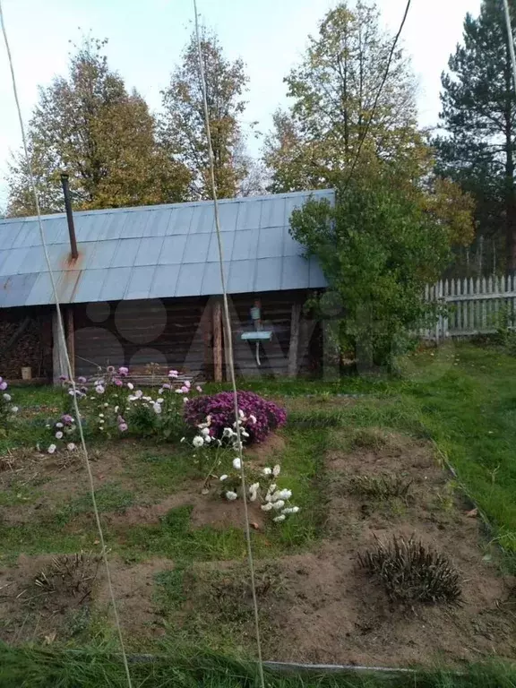 Дом 60 м на участке 19 сот. - Фото 1