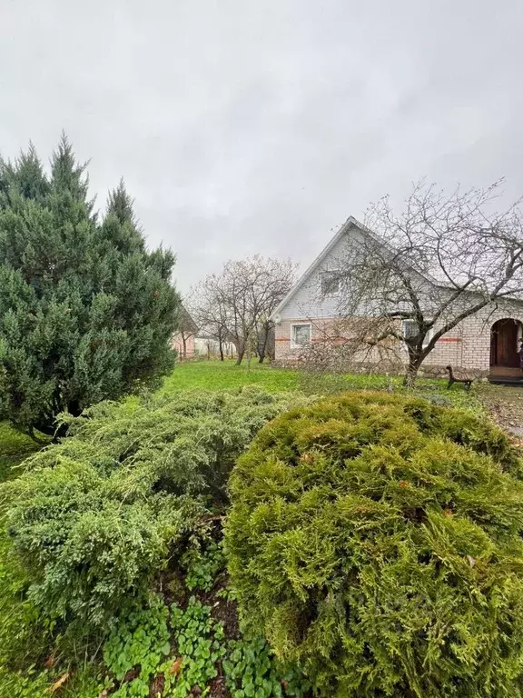 Дом в Псковская область, Дедовичи рп ул. Октябрьская, 42 (150 м) - Фото 1