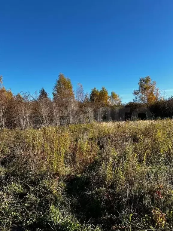 Участок 6 сот. (личное подсобное хозяйство (лпх)) - Фото 0
