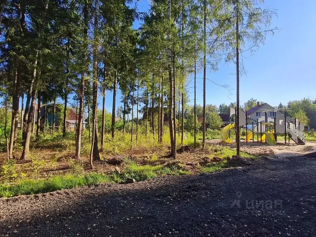 Участок в Московская область, Пушкинский городской округ, Софрино пгт ... - Фото 2