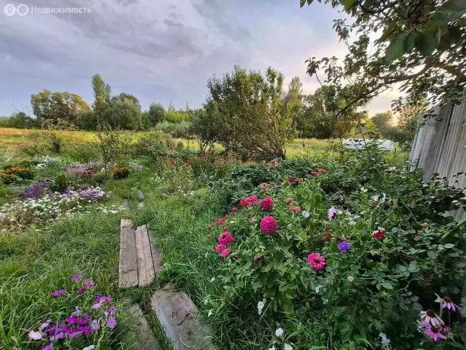 Дом в Белгородская область, Яковлевский муниципальный округ, посёлок ... - Фото 2