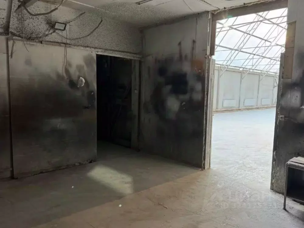 Склад в Московская область, Одинцово Зеленая ул., 30 (550 м) - Фото 1