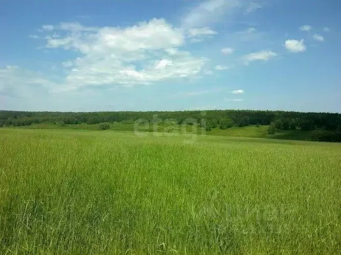 Участок в Ленинградская область, Ломоносовский район, Аннинское ... - Фото 1