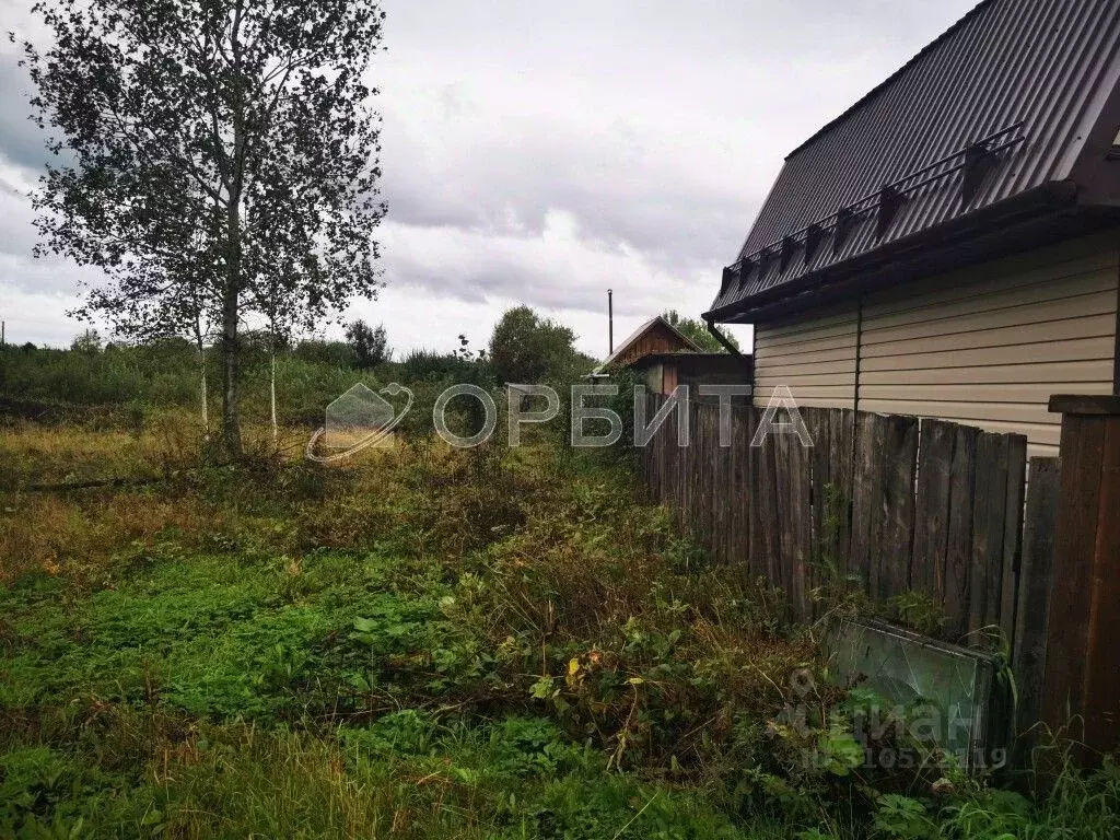 Участок в Тюменская область, Тюменский район, Майское СНТ ул. Розовая ... - Фото 1