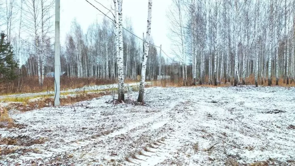 Участок в Тюменская область, Нижнетавдинский муниципальный округ, ... - Фото 1