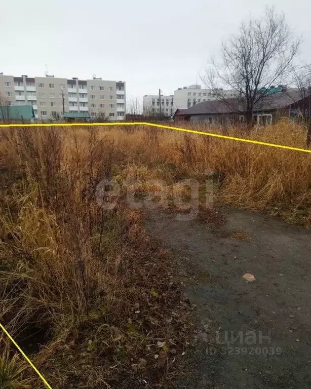 Участок в Сахалинская область, Анива Лесная ул. (8.33 сот.) - Фото 1