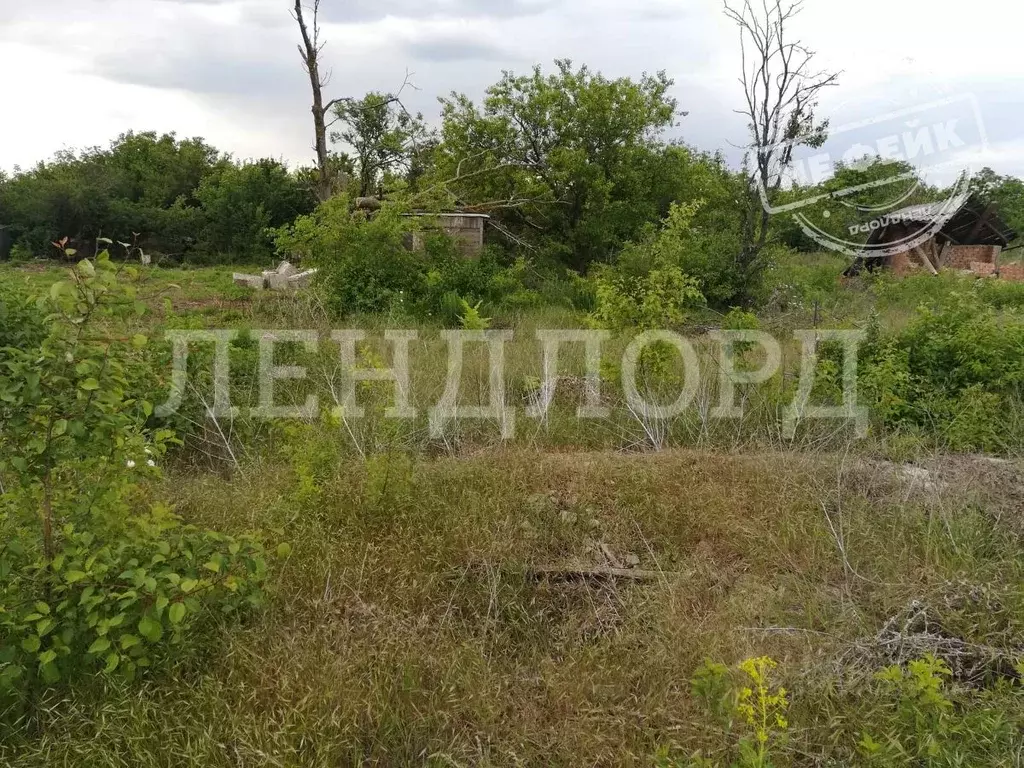 Участок в Ростовская область, Новочеркасск № 16 садовое товарищество, ... - Фото 0