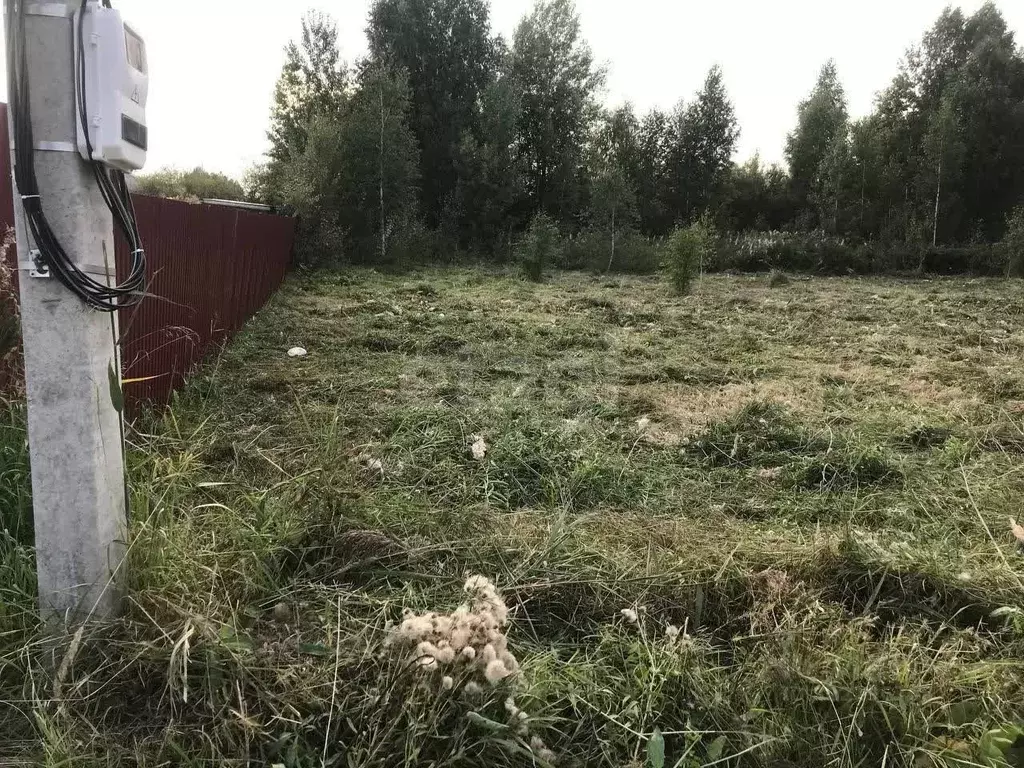 Участок в Тюменская область, Тюмень Россиянка садовое товарищество, ... - Фото 1