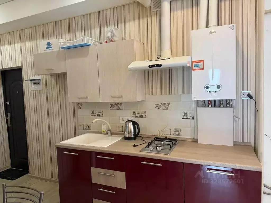 2-к кв. Краснодарский край, Сочи Виноградная ул., 121/7 (35.0 м) - Фото 1