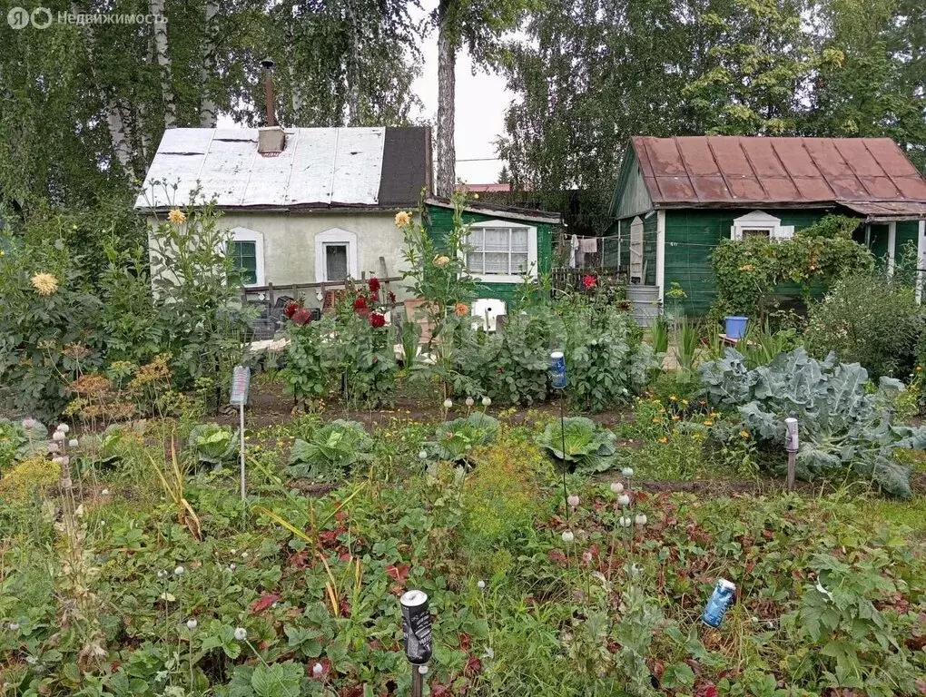 Дом в Новосибирск, НМЗ Искра (20 м) - Фото 1