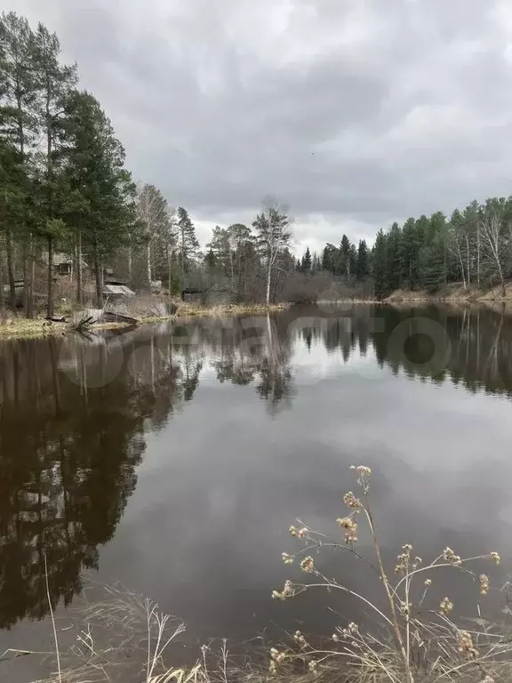 Дом 46 м на участке 11,5 сот. - Фото 1