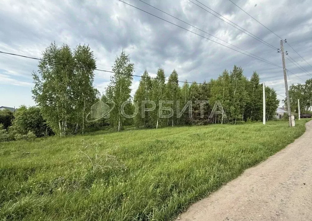 Участок в Тюменская область, Тюменский район, д. Головина ул. Луговая, ... - Фото 0