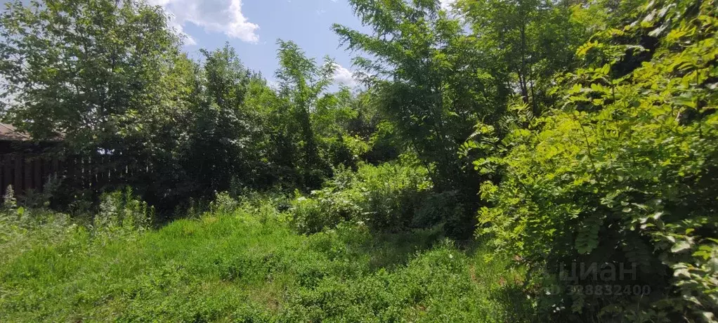 Участок в Воронежская область, Воронеж Память Мичурина СНТ, ул. ... - Фото 2