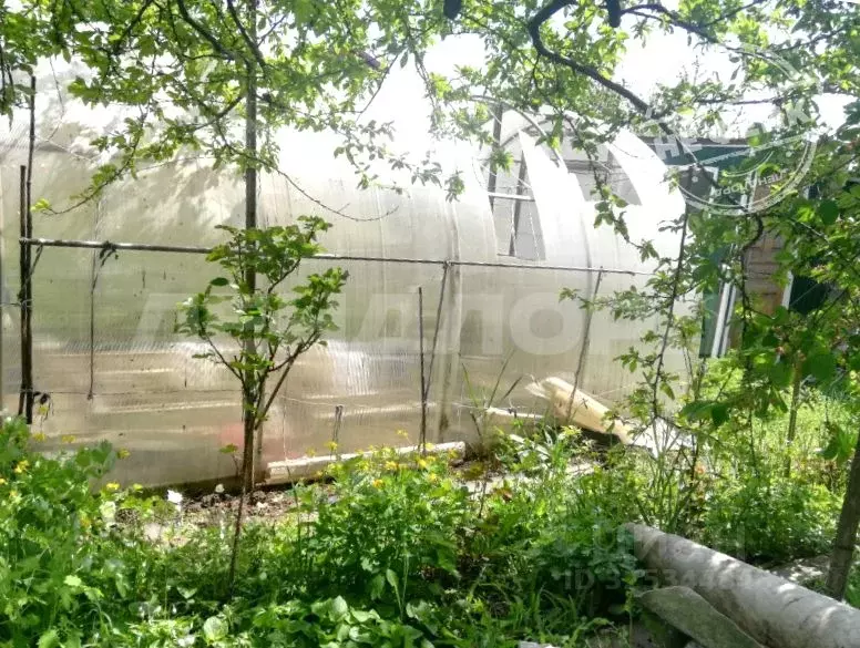 Участок в Ростовская область, Новочеркасск Малинка СТ,  (6.0 сот.) - Фото 1