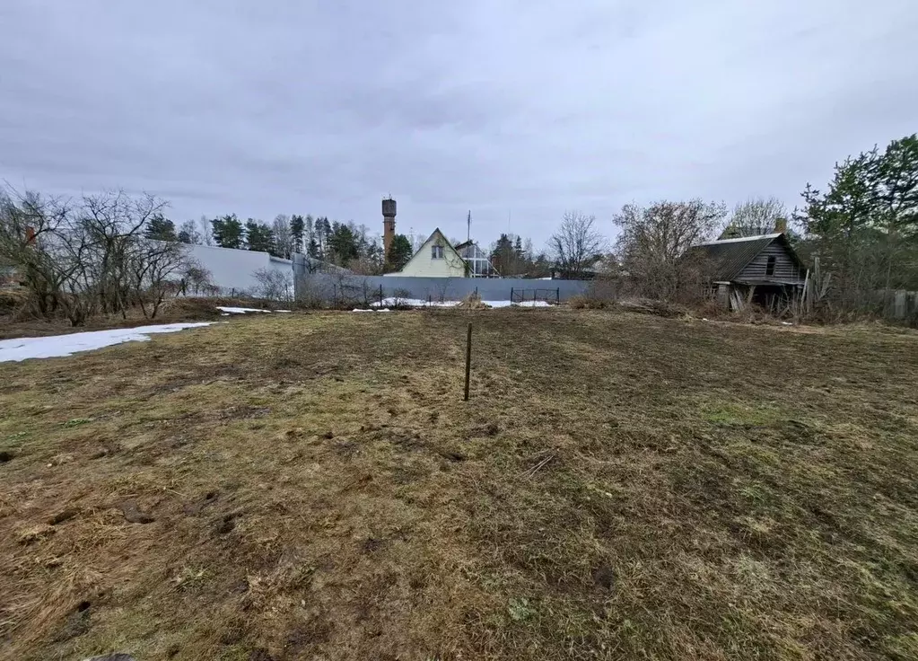 Участок в Московская область, Черноголовка городской округ, с. ... - Фото 2