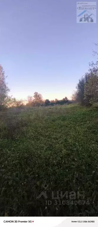 Участок в Пермский край, с. Бершеть ул. Цветочная, 24 (10.0 сот.) - Фото 2