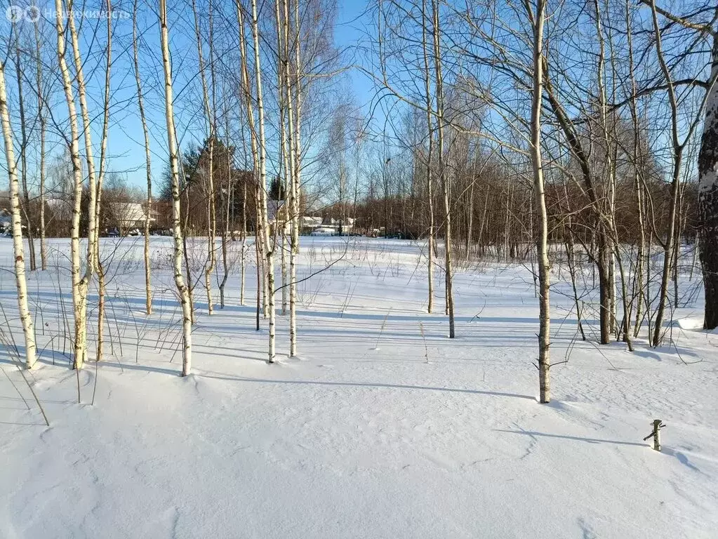 Участок в Тобольск, садоводческое товарищество Вымпел (15 м) - Фото 1