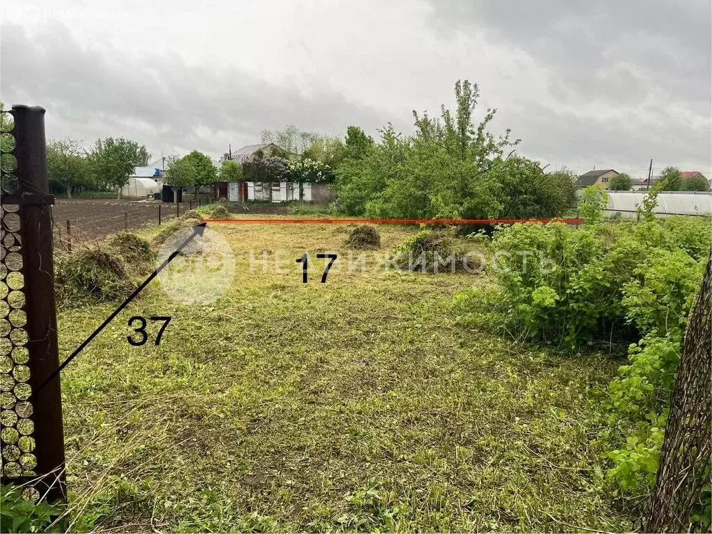 Участок в Рязанский муниципальный округ, село Льгово (6.03 м) - Фото 2