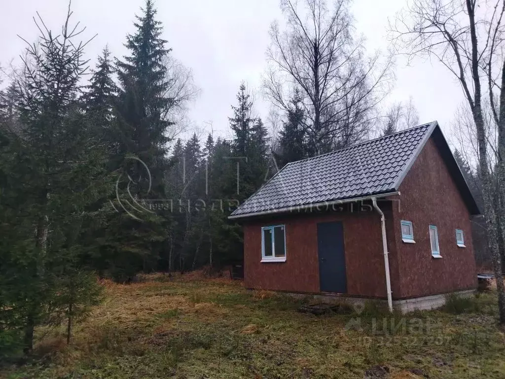 Дом в Ленинградская область, Лужский район, Толмачевское городское ... - Фото 1