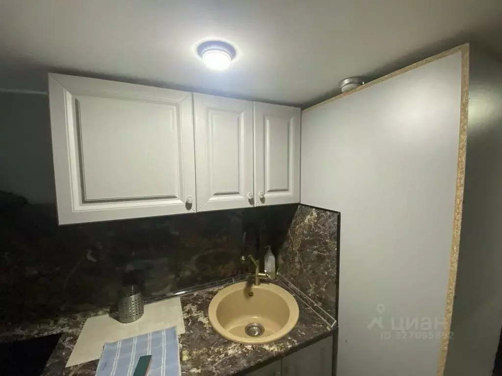 Студия Москва Березовая аллея, 19к4 (25.0 м) - Фото 2