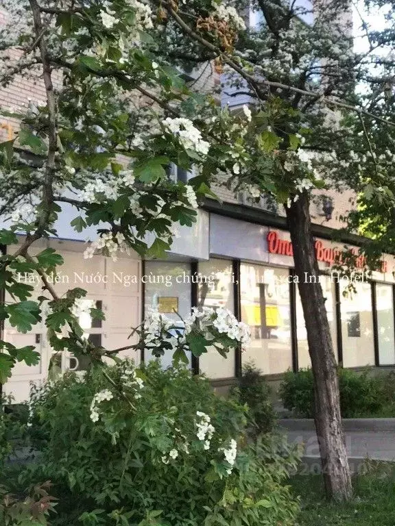 Комната Москва Варшавское ш., 13 (10.0 м) - Фото 1