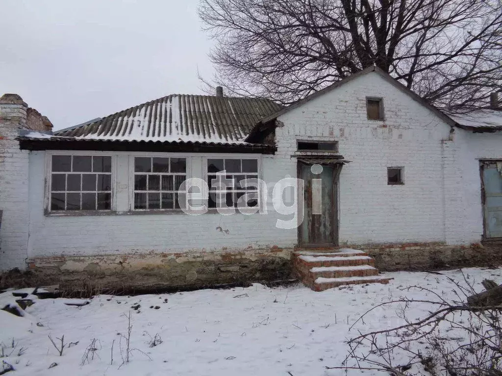 Дом в Белгородская область, Волоконовский район, с. Волчья ... - Фото 0