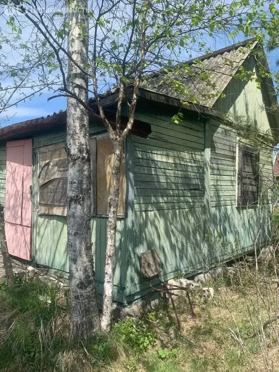 Дом в Хабаровск, СТ Якорь (20 м) - Фото 1