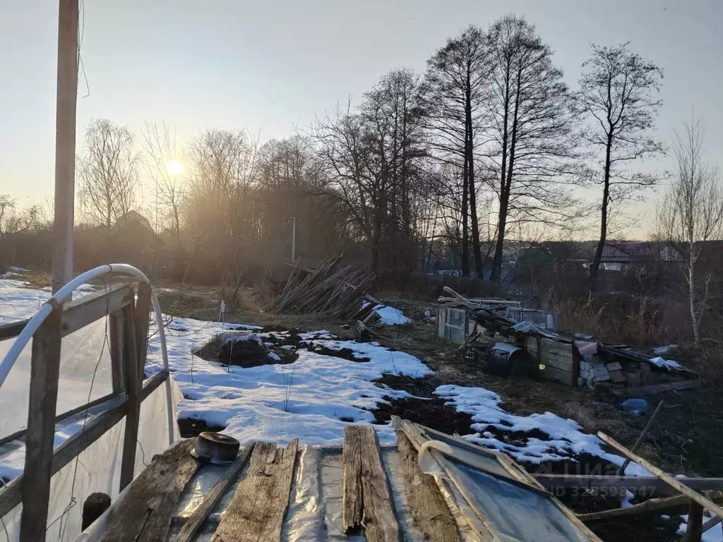 Участок в Брянская область, Брянский район, Нетьинское с/пос, пос. ... - Фото 2