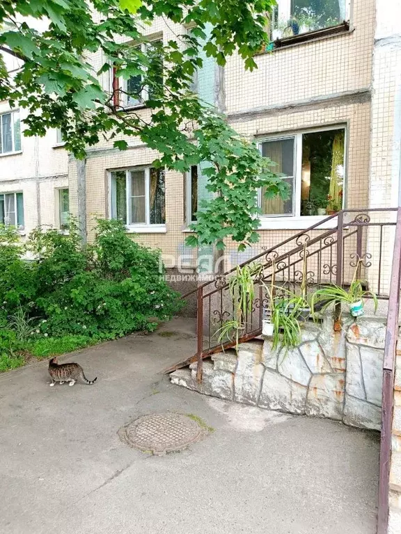 1-к кв. Санкт-Петербург просп. Косыгина, 28К5 (32.7 м) - Фото 1