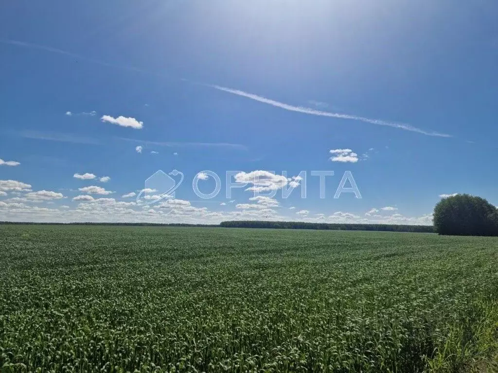 Участок в Тюменская область, Тюменский муниципальный округ, пос. ... - Фото 1