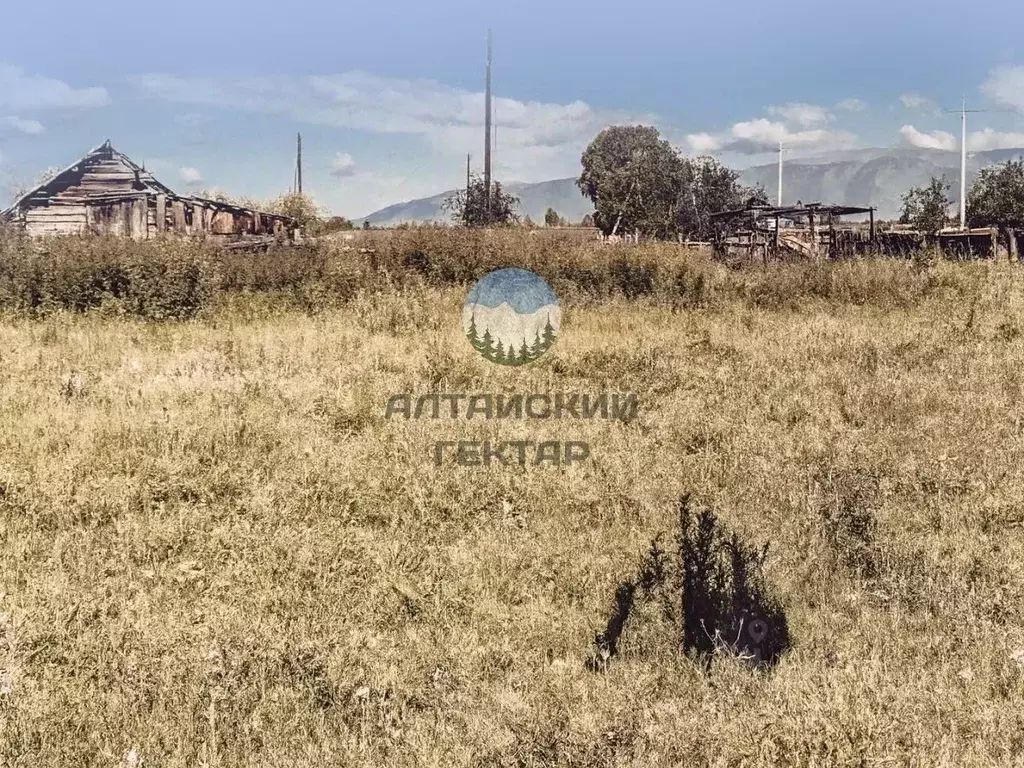 Участок в Алтай, Усть-Коксинский район, с. Нижний Уймон Центральная ... - Фото 1