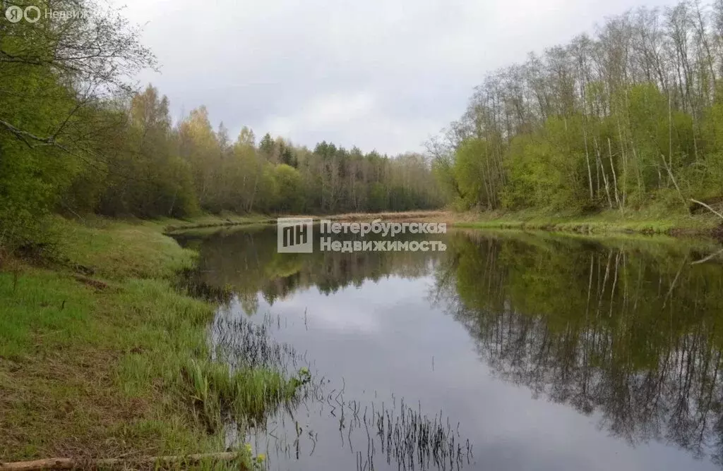 Участок в Осьминское сельское поселение, деревня Гусли (381 м) - Фото 0