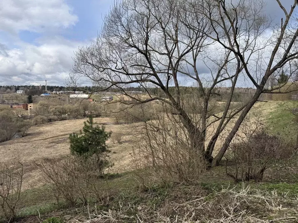 Участок в Московская область, Одинцовский городской округ, д. ... - Фото 1