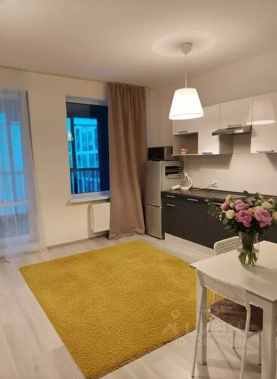 Студия Санкт-Петербург ул. Ультрамариновая, 8 (24.7 м) - Фото 1