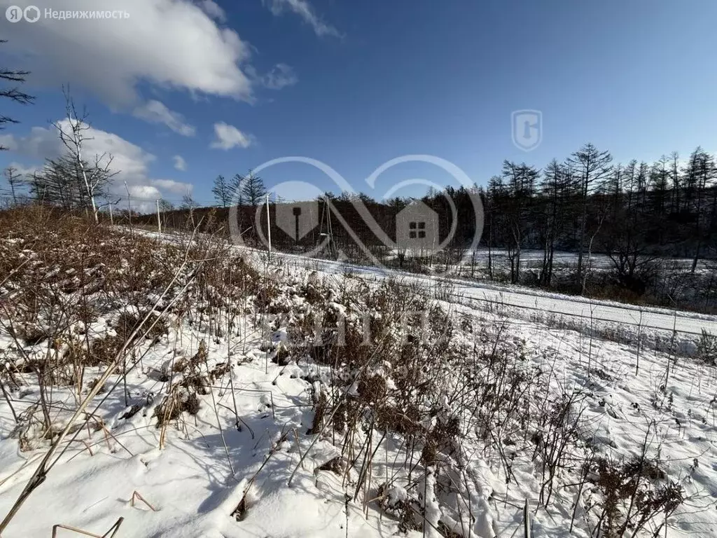 Участок в село Соловьёвка (17 м) - Фото 1