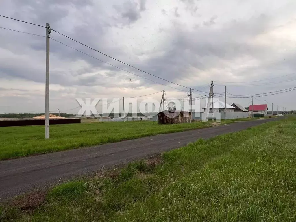 Участок в Новосибирская область, Ордынский район, с. Новопичугово ... - Фото 1