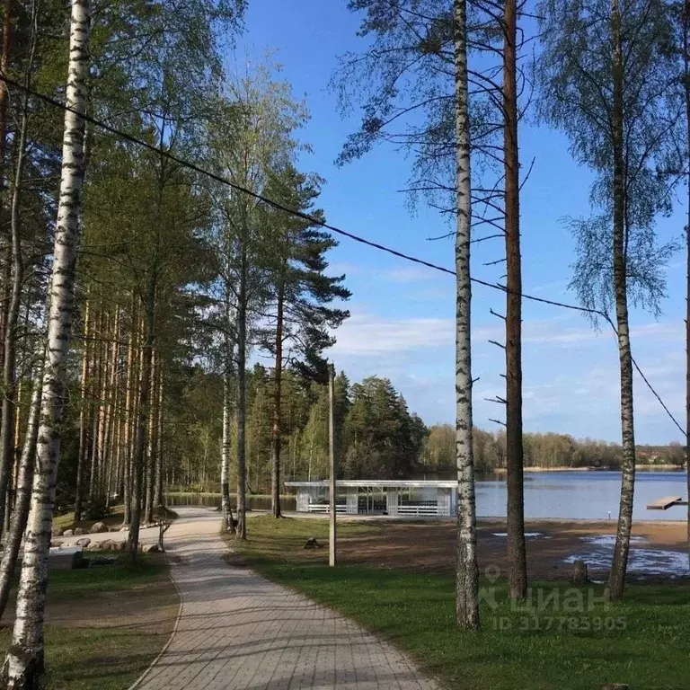 Коттедж в Ленинградская область, Приозерский район, Раздольевское ... - Фото 1