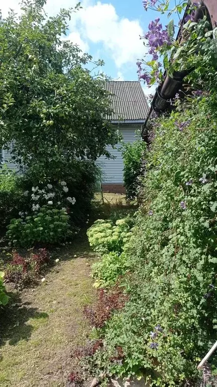 Дом в Старая Русса, улица Кириллова (54 м) - Фото 1