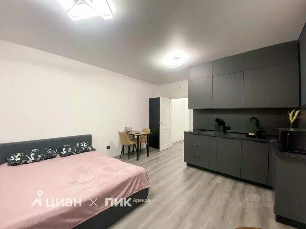 Студия Санкт-Петербург 1-й Предпортовый проезд, 1 (25.0 м) - Фото 2