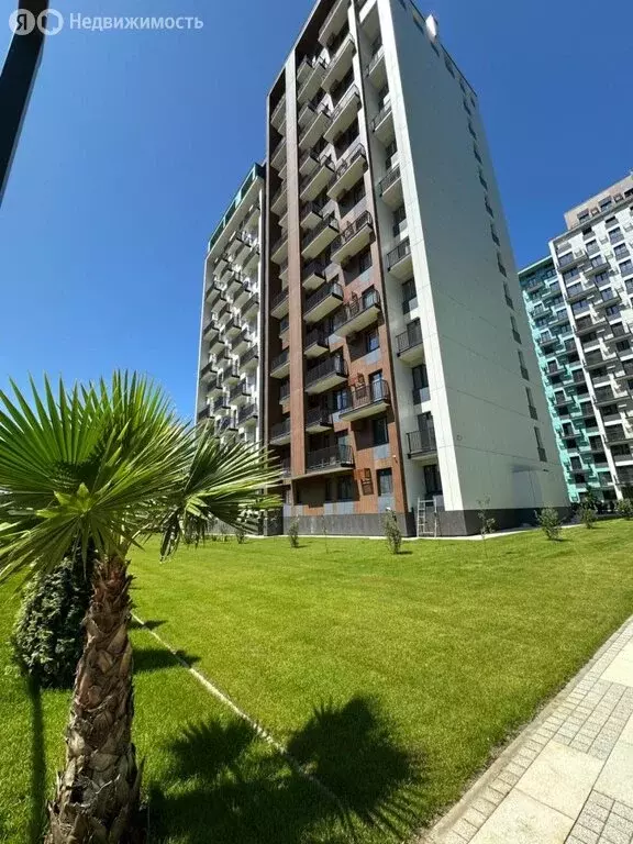 3-комнатная квартира: посёлок городского типа Дагомыс, ЖК Чайные Холмы ... - Фото 2