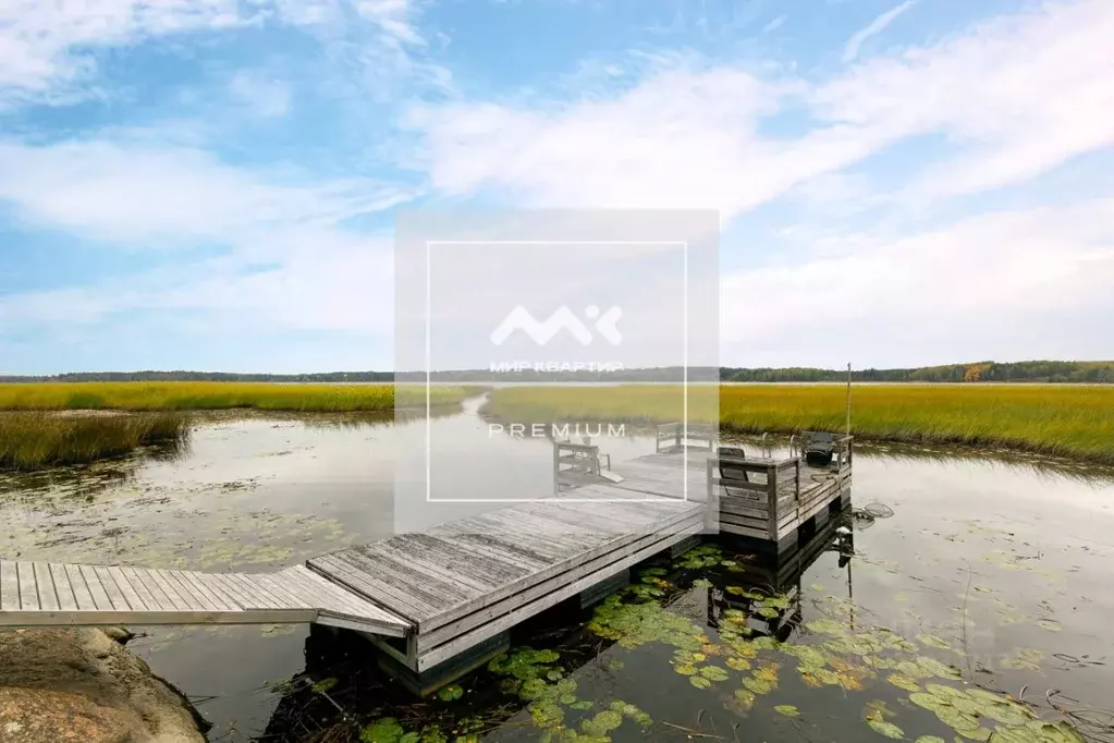 Участок в Ленинградская область, Выборг ул. Прибрежная (17.36 сот.) - Фото 1