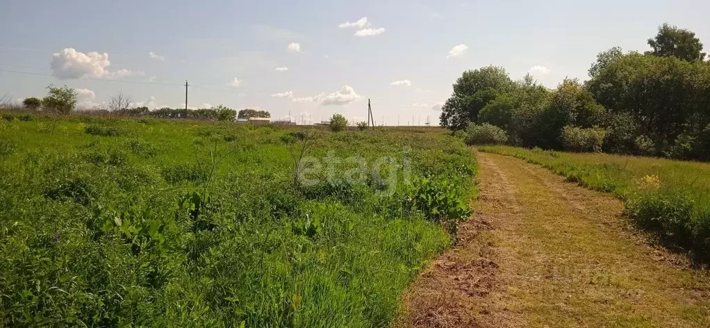 Участок в Тульская область, Киреевский район, Дедиловское ... - Фото 1