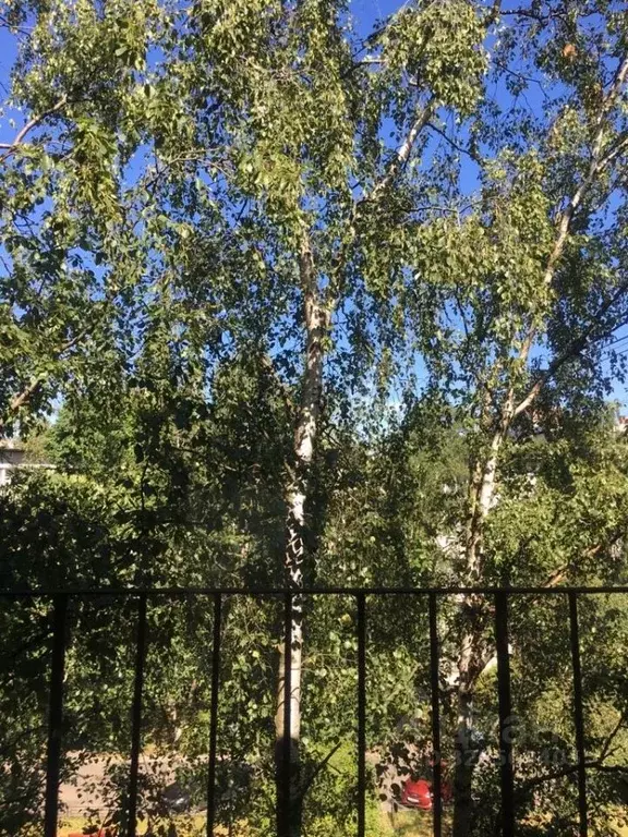 2-к кв. Санкт-Петербург ул. Евдокима Огнева, 10К3 (43.5 м) - Фото 2