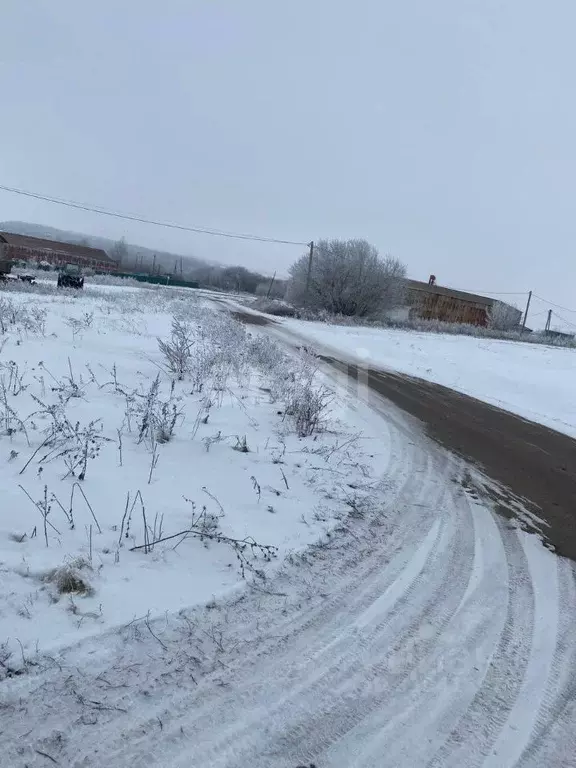 Участок в Воронежская область, Семилукский район, с. Медвежье ... - Фото 0