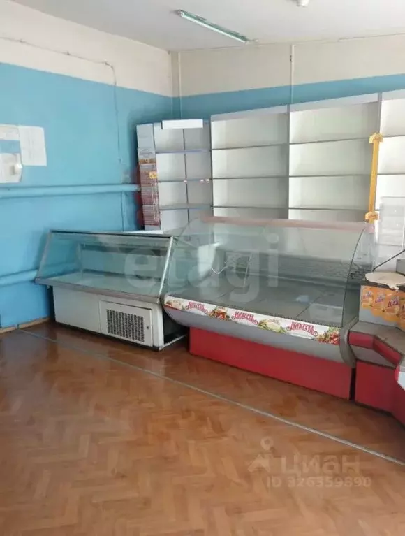 Торговая площадь в Брянская область, Новозыбков ул. Рошаля, 42 (50 м) - Фото 1