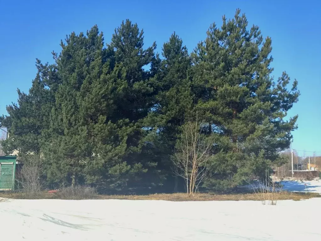 Участок в Московская область, Раменский муниципальный округ, Княжий ... - Фото 1
