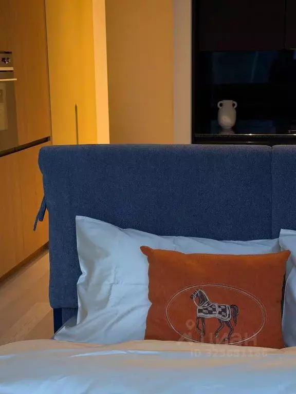 Студия Москва Краснопресненская наб., 14Ак3 (28.2 м) - Фото 1